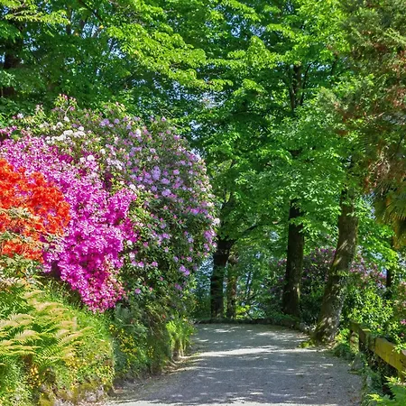 Country Side Of Lake Maggiore - Happy Prázdninový dům Brovello-Carpugnino
